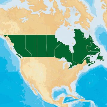 Navionics HotMaps Platinum Lake Maps - Canada - microSD™/SD™