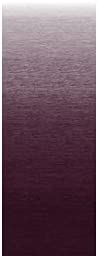 Dometic B3314989NV420; Replacement Fabric, RV Patio Awning Universal Pol Maroon 20-Foot Made by Dometic