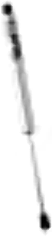 FOX SHOX 98524153 Rear Driver
