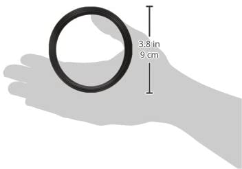 Lasalle Bristol 39227 Anonda Valve Gasket, (Pack of 2)