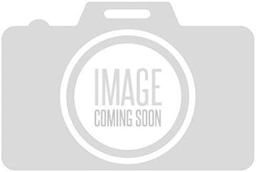 Green Sea Turtle Men's Casual Training Running Shoe