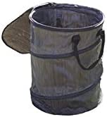 Collapsible Container