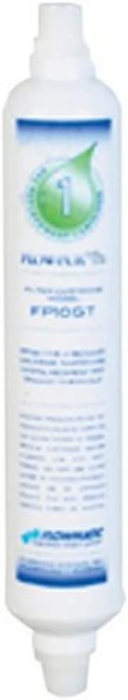 Watts 1201.11 1201.11 (FP10GT) in-Line Carbon Filter Cartridge