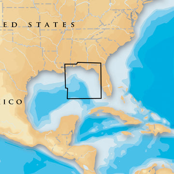 Navionics Platinum+ - East Gulf of Mexico - microSD™/SD™