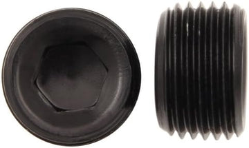XRP 993203BB Black 1/4" Allen Head Pipe Plug, (Pack of 2)