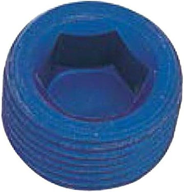 XRP 993202 1/8" Allen Head Pipe Plug - Pack of 2
