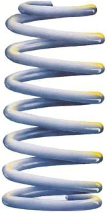 ARB Products REAR COILS 2898