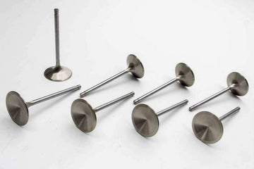 Manley 118068 Valves Stnls Int Set/8