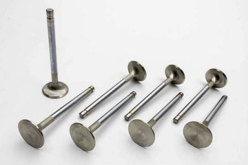 Manley 105528 Valves