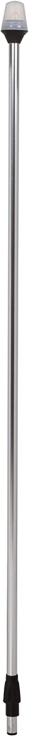 Attwood Traditional Style All-Round Frosted Globe Light 48-Inch
