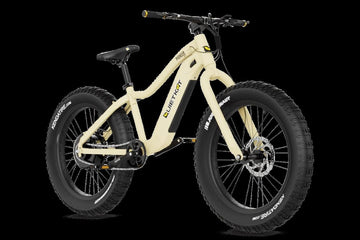 Pioneer E-Bike Charcoal / 500 Watt
