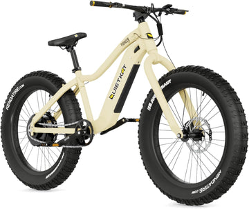 Pioneer E-Bike Sandstone / 500 Watt