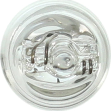 Wagner Lighting 24 T-2 3/4 Bulb 11/32" (8.7mm) Di