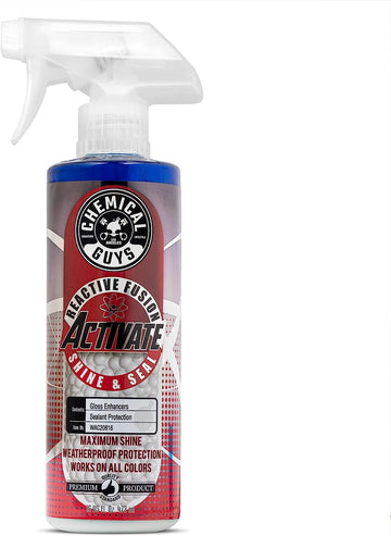 Chemical Guys WAC20816 Activate Instant Spray Sealant and Paint Protectant, 16 oz 16 fl. Oz (Single Unit)