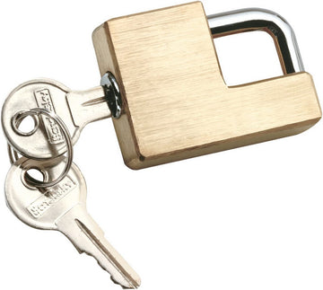 Reese Towpower 7005300 Brass Coupler Lock