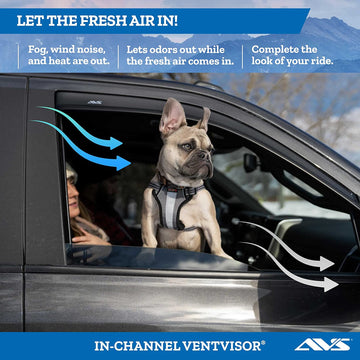 Auto Ventshade 194819 in-Channel Ventvisor, 4 Piece