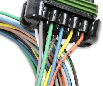 Holley EFI 10 Pin Harness, Sniper Tbi
