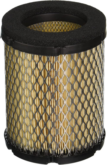 Cummins 1403295 Onan Air Filter